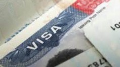 Крупнейшая афера с рабочими визами