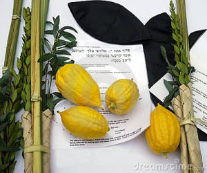 lulava_sukkot