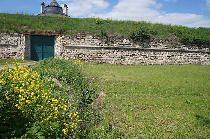 Золочевский замок и трава на месте массового захоронения убитых евреев