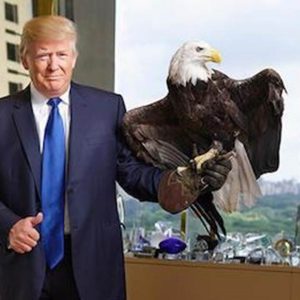 16-october-trump-eagle