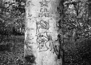 Надпись на дереве (в лесу недалеко от Льежа), сделанная Г. Лерманом. Фото 1966 г. 