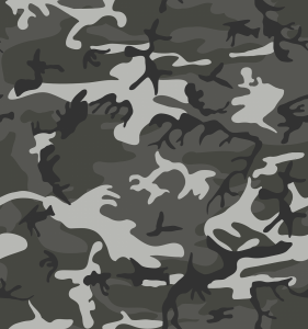camouflage-145980_1280