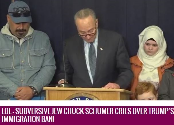 29-january-schumer-crying-capture