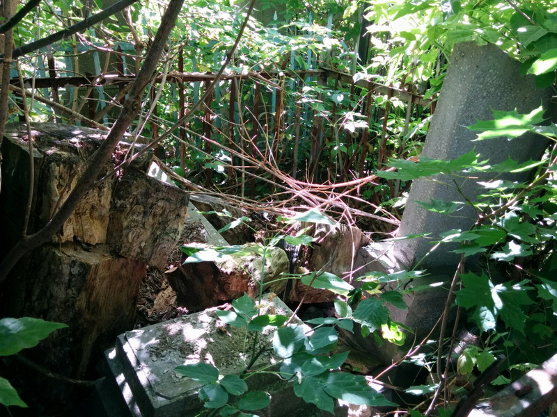 "Дикие джунгли" и разваленные памятники на еврейском участке кладбища в Харькове. Фото: Шимон Бриман.