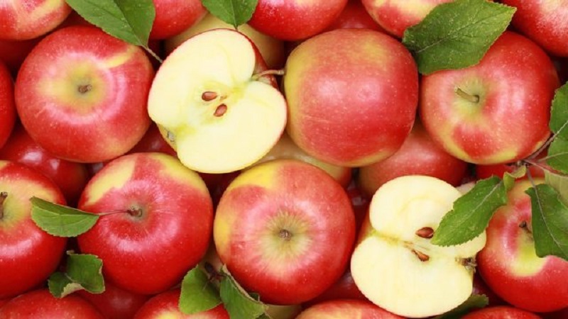 apples-best-fruit-weight-lossrrrrrrrrrrrr