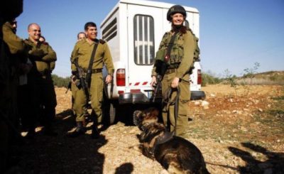 Фото: Wikipedia / Israel Defense Forces — Lt. Gen. Ashkenazi Visits Oketz Canine Unit